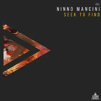 Seek To Find by Ninno Mancini