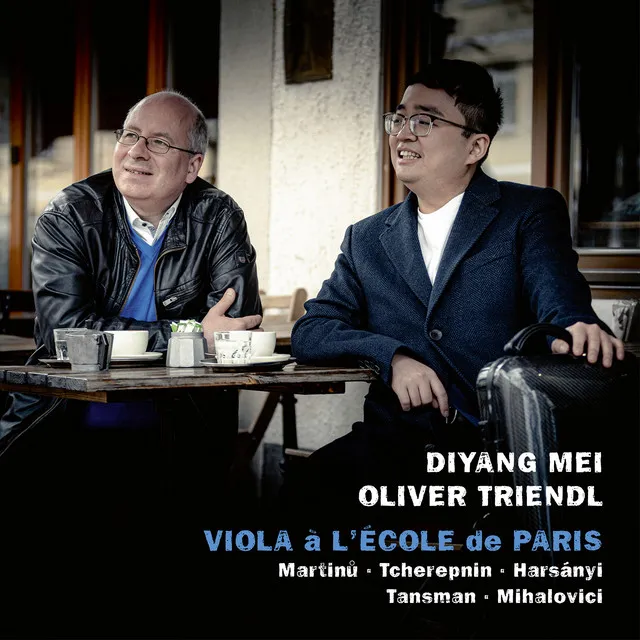 Sonata for Violin and Piano, Op. 47: II. Agitato e vehemente