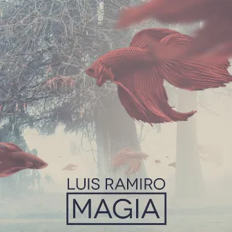 Magia by Luis Ramiro