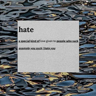 Hate by Camille Schlybeurt