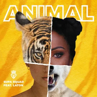 Animal by Laton