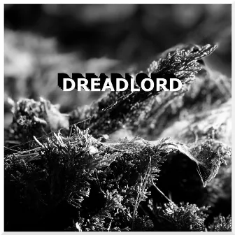 Dreadlord by LordNikon