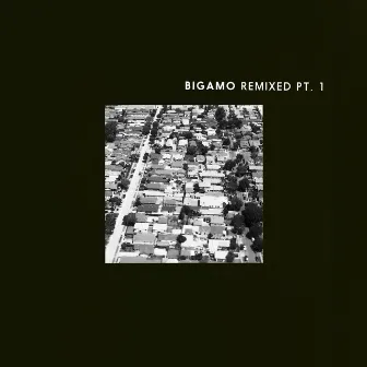 Bigamo Remixed Pt. 1 by Bigamo