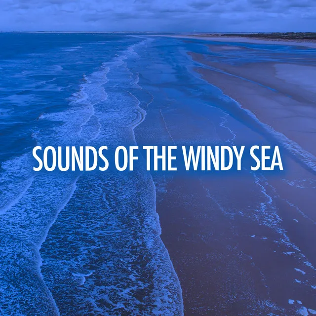 ! ! ! ! Sounds Of The Windy Sea ! ! ! !