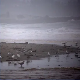 A Rainy Day at the Beach by Sleep Street