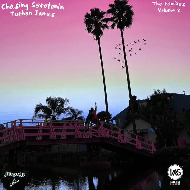 Chasing Serotonin - neendhelp & aag Remix