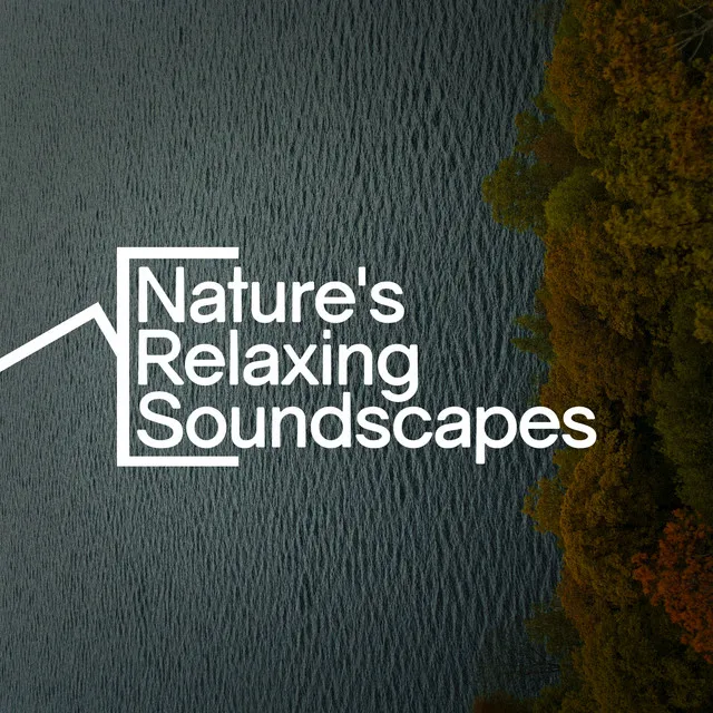 Nature's Relaxing Soundscapes