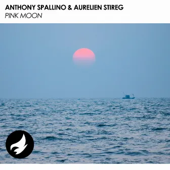 Pink Moon by Anthony Spallino