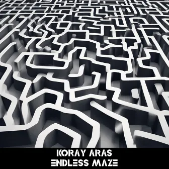 Endless Maze by Koray Aras