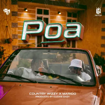 Poa by Country Wizzy