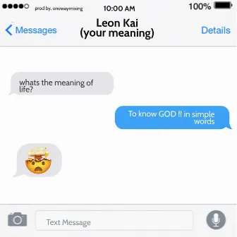 Your Meaning by Leon Kai