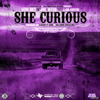 She Curious (Slowed & Chopped) by DJ Blurray