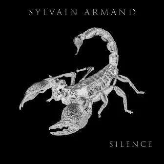 Silence by Sylvain Armand