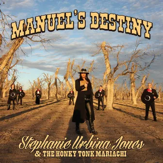 Manuel's Destiny by Stephanie Urbina Jones