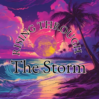 Rising Through the Storm by David Vine