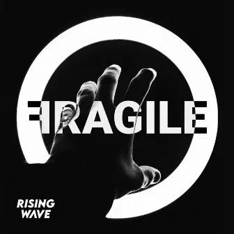 Fragile by Kate Schroder