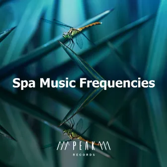 Spa Music Frequencies by Spa Music Land