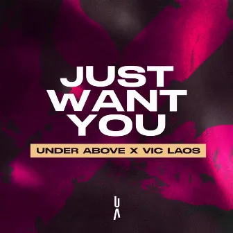 Just Want You by Vic Laos