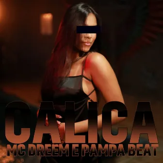 Calica (Eletrofunk) by Unknown Artist