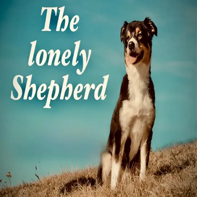 The lonely shepherd