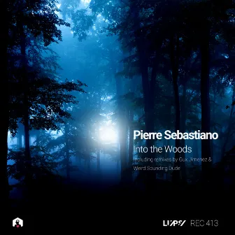 Into the Woods by Pierre Sebastiano