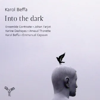 Karol Beffa: Into the Dark by Emmanuel Ceysson