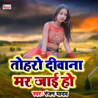 Toharo Diwana Mar Jaai Ho (Bhojpuri Song) by Ranjan Yadav