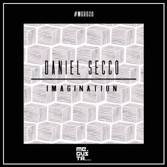 Imagination by Daniel Secco