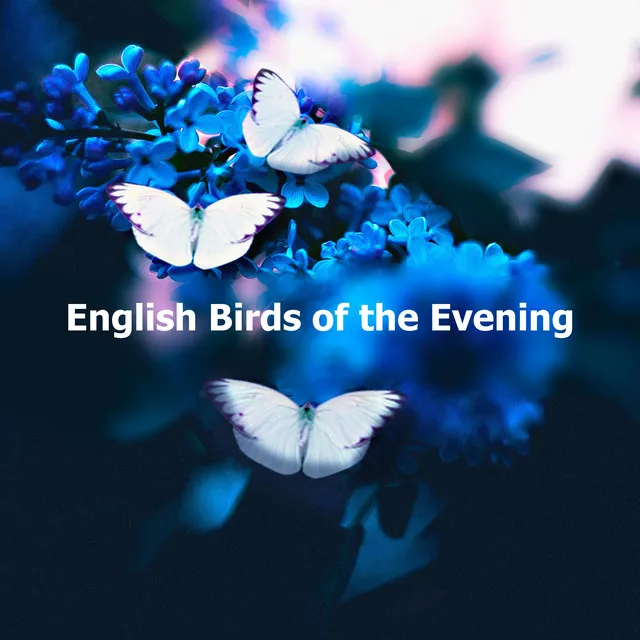 English Birds of the Evening