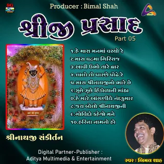 Shreeji Prasad-Shreenathji Sankirtan Pt.05 by Bimal Shah