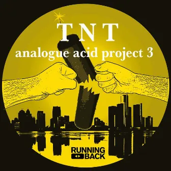 Analogue Acid Project 3 by TNT