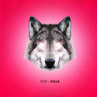 Killa by Puri