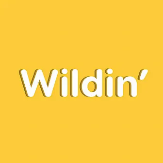 Wildin' by Mellow Heist