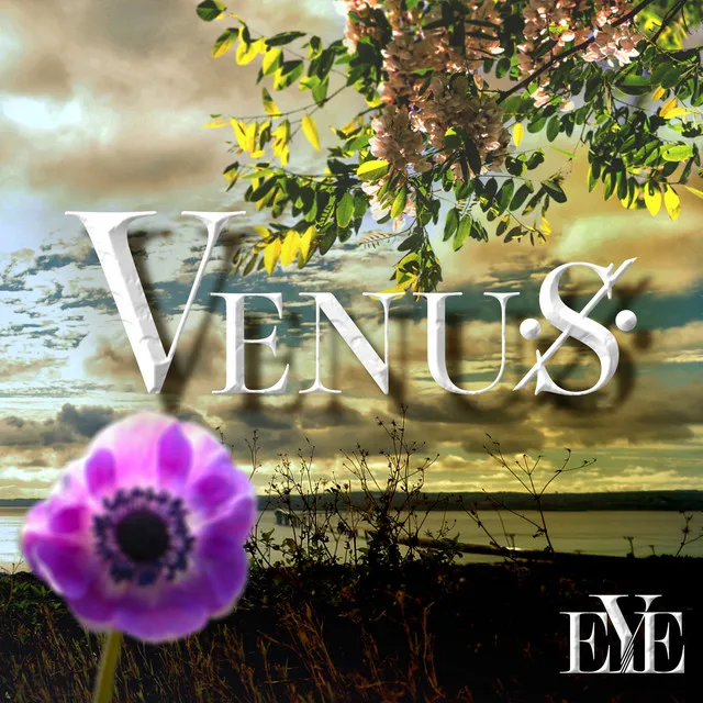 VENUS