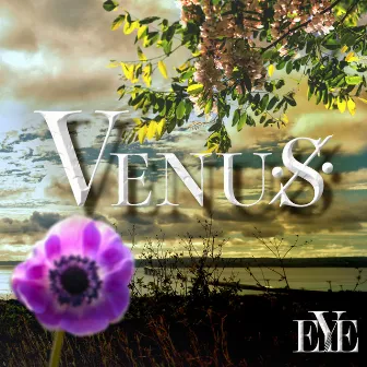 VENUS by EYE