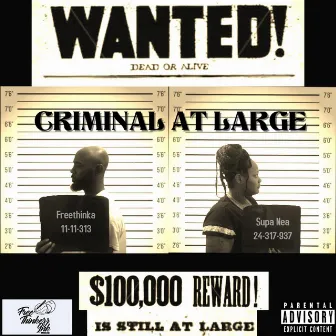 Criminal at Large by Black the Freethinka