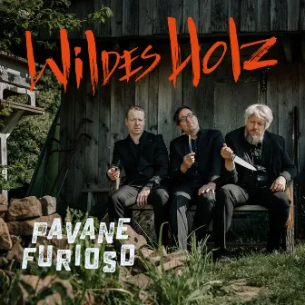 Pavane furioso by Wildes Holz