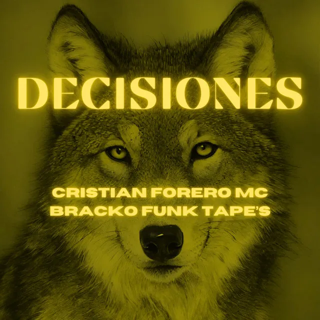 Decisiones