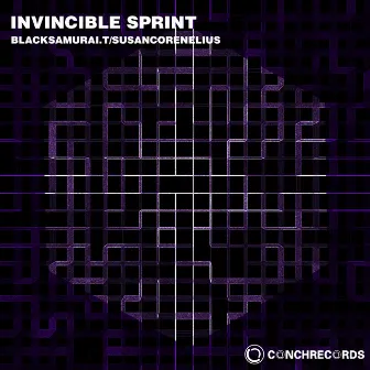 Invincible Sprint by BlackSamurai.T