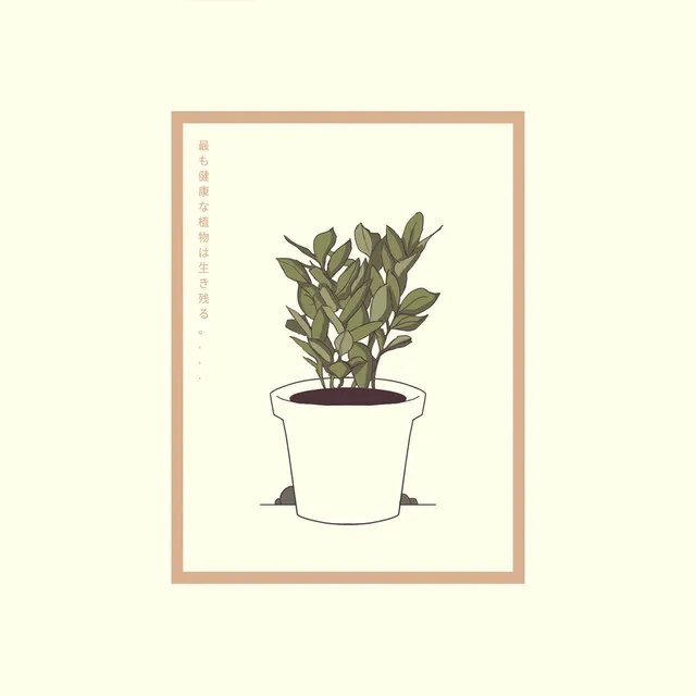 house plants