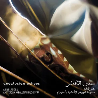 Andalusian Echoes by Amsterdam Andalusian Orchestra