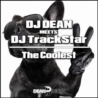 The Coolest by DJ Trackstar