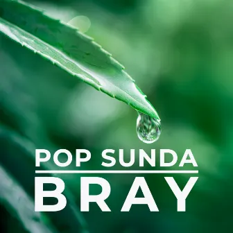 Pop Sunda Bray by Nova Mardiana