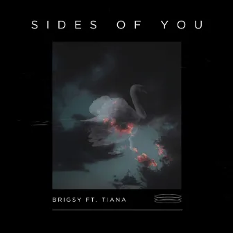 Sides Of You by BRIGSY