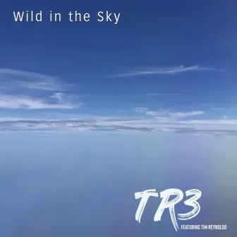 Wild in the Sky by TR3