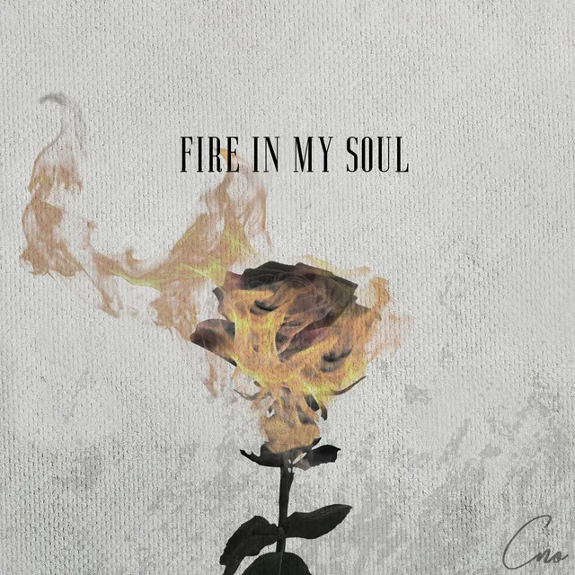 Fire in My Soul