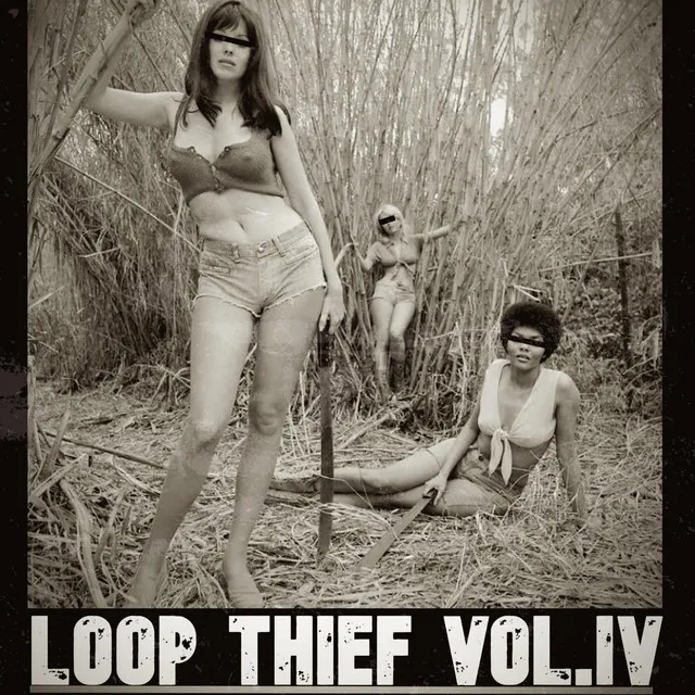 Loop Thief Vol.IV