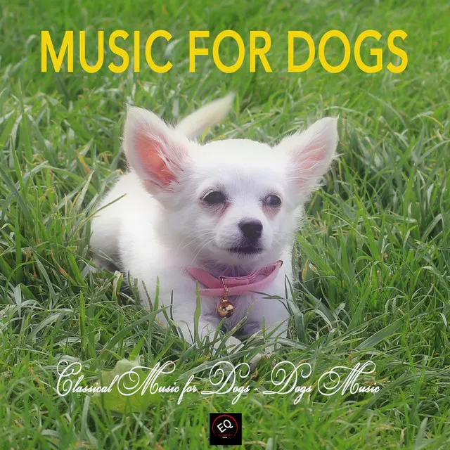 Music for Dogs Collective