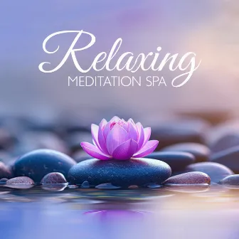 Relaxing Meditation Spa (Stress Relief Music, Zen Music for Well-Being, Ayurvedic Treatment, Massage) by Well-Being Center