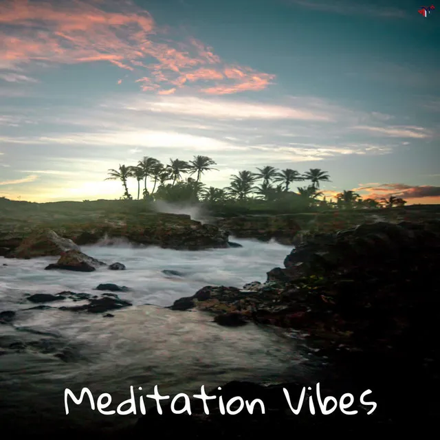 Meditation Vibes